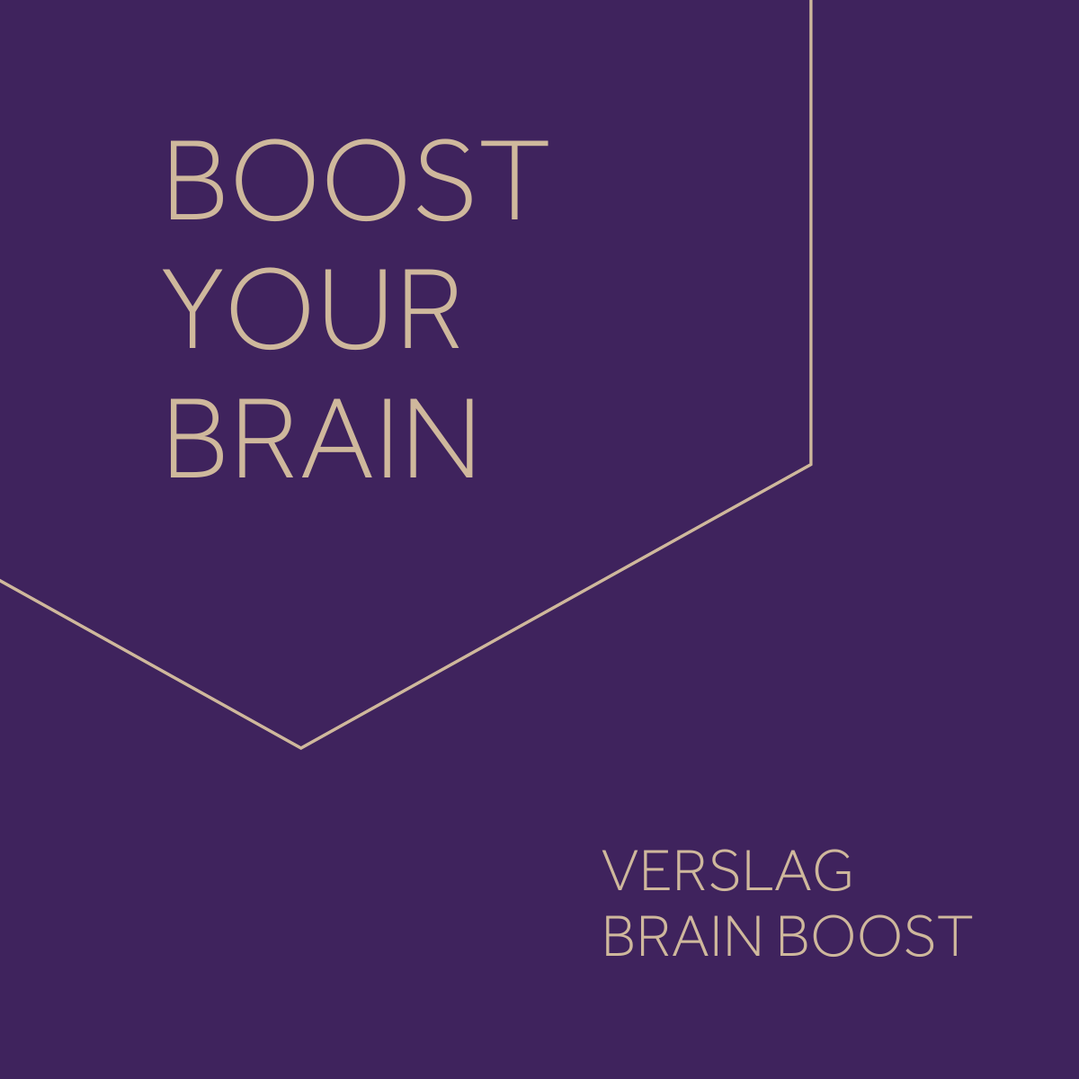 Brain Boost – Gunningsmethodieken